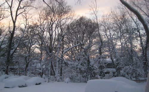 20100209